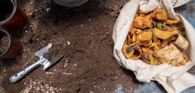 Tipy a triky akčných mám - banánové hnojivo a kompost