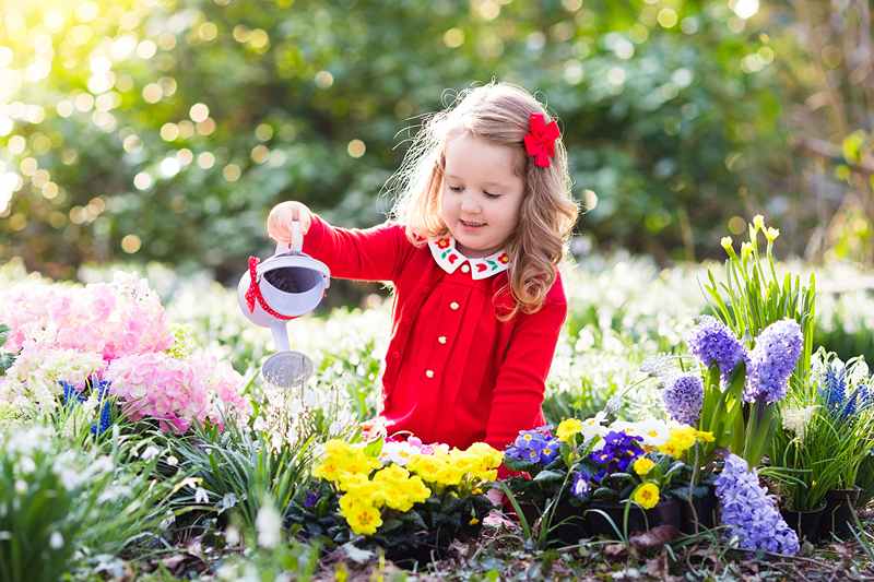 dievčatko polieva kvety na záhrade