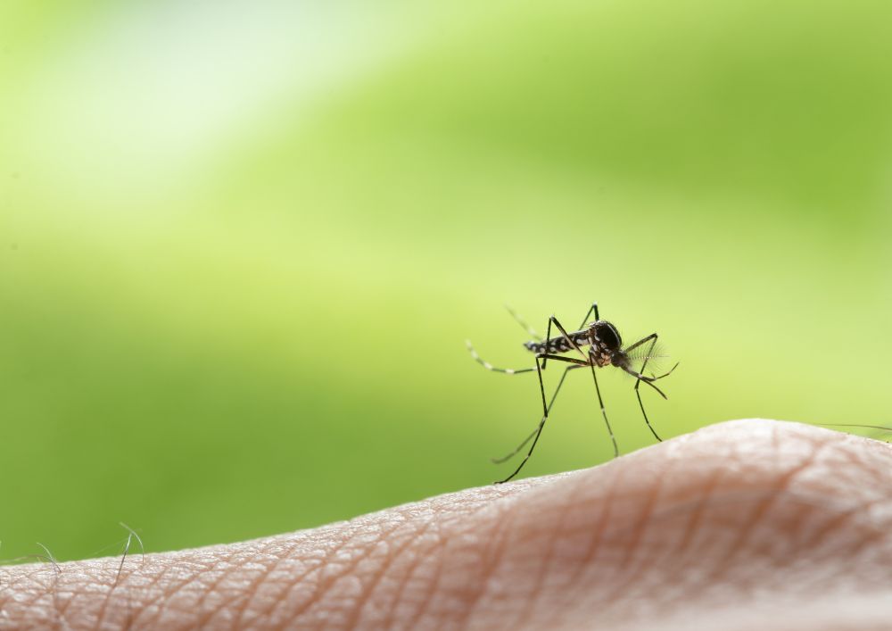  účinný repelent voči otravnému hmyzu ako sú komáre