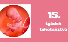 15. týždeň tehotenstva