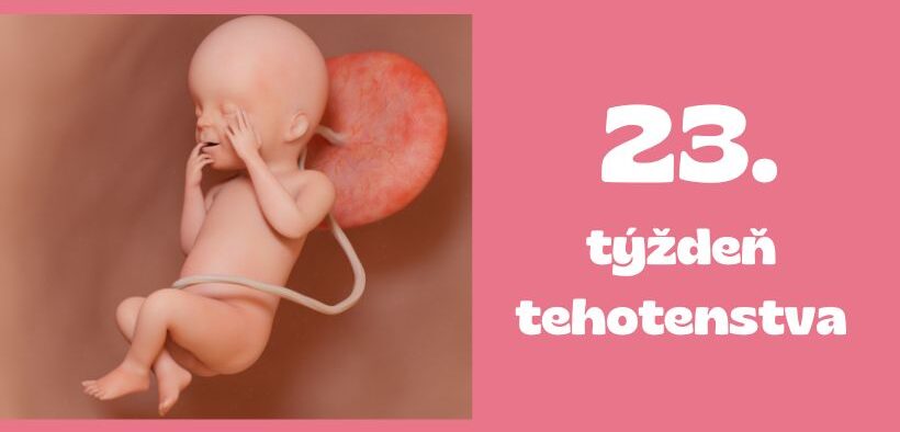 23. týždeň tehotenstva