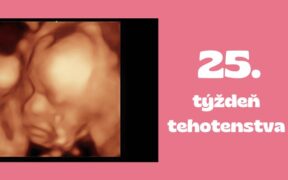 25. týždeň tehotenstva