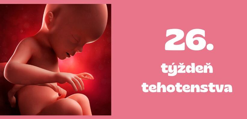 26. týždeň tehotenstva