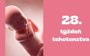 28. týždeň tehotenstva