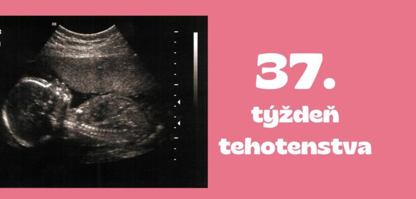 37. týždeň tehotenstva